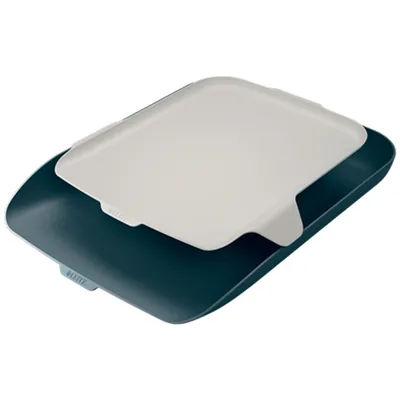 LEITZ Bandeja Sobremesa Plastico Leitz Cosy Gris 274X62X391 MM
