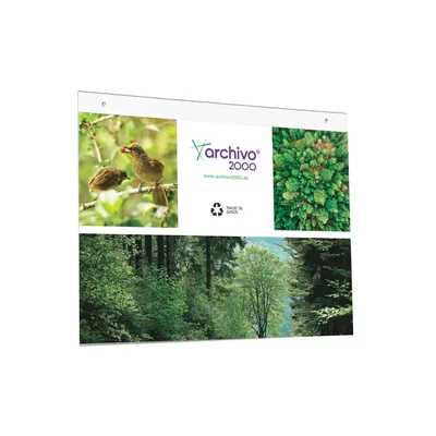 ARCHIVO 2000 Expositor Mural Archivo 2000 DIN A3 Horizontal con Taladros Espesor 2 MM Cristal Transparente 420X325 MM