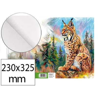 ARTIST Bloc Dibujo Liderpapel Artistico Natura Espiral 230X325MM 20 Hojas 130G/M2 Sin Recuadro Perforado