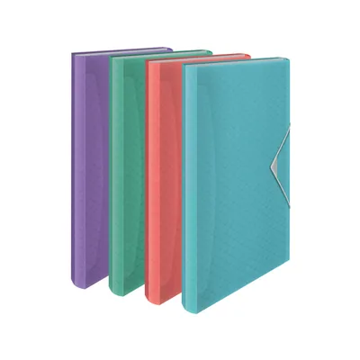 ESSELTE Carpeta Clasificadora Esselte Colour Breeze DIN A4 Polipropileno 6 Separadores Colores Surtidos