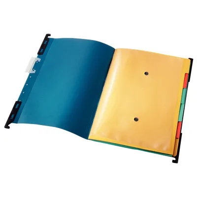 LEITZ Carpeta Colgante Leitz Divide-it-up DIN A4 Lomo V Visor Rigido Transparente Color Azul