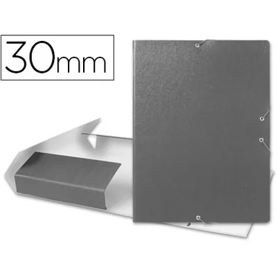 LIDERPAPEL Carpeta Proyectos Liderpapel Folio Lomo 30MM Carton Gofrado Gris