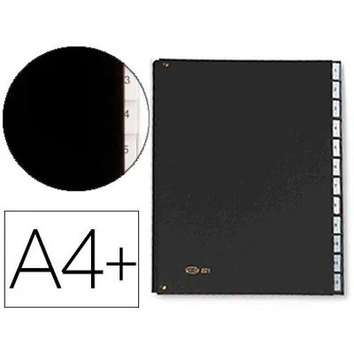 PARDO Carpeta Clasificadora Fuelle Pardo Carton Compacto Folio 12 Departamentos Visor Doble Personalizables Color Negro